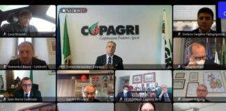 Vino, Copagri: nel I trimestre 2021, export calato del 20%, ai minimi storici da 30 anni a questa parte.