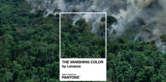 Earth Day, Lavazza e Pantone sostengono il verde Amazzonia.