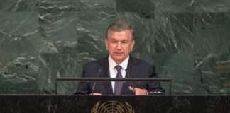 The Pathway of reforms in Uzbekistan: preliminary conclusions.