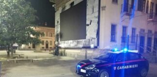 Rapina con pitbull, Carabinieri arrestano marocchino.