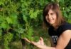 Torna Cantine Aperte, primo appuntamento questo weekend.