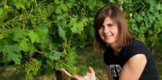 Torna Cantine Aperte, primo appuntamento questo weekend.