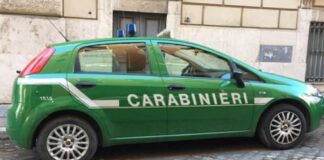 Traffico di rifiuti, Carabinieri Forestali arrestano 2 persone.