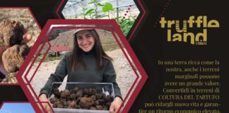 Webinar sul tartufo mercoledì 19.