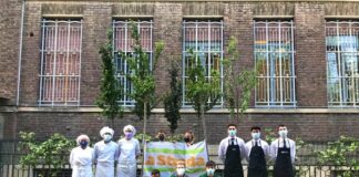 Arbolia: piantati 11mila alberi, nuovi progetti in 20 comuni italiani.