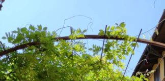 Immobiliare, bilocale arredato in via Marghera disponibile immediatamente per locazione.