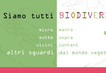 Festa del Solstizio d’Estate negli Orti Botanici di Brera e Città Studi, dell’Università Statale di Milano.