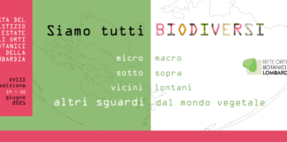 Festa del Solstizio d’Estate negli Orti Botanici di Brera e Città Studi, dell’Università Statale di Milano.