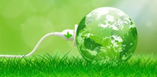 Tariffe luce green, vantaggi non solo per l’ambiente: le offerte costano meno.