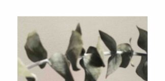 Past / Present, mostra collettiva alla Galleria Michel Negrini di Lugano.