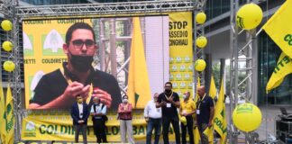 Cinghiali, Rota (Coldiretti): “Situazione intollerabile, a rischio filiera del cibo e sicurezza delle persone”.