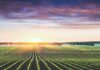 Aumenti prezzi energia e materie prime, Copagri: situazione insostenibile per agricoltura, servono interventi per calmierare.