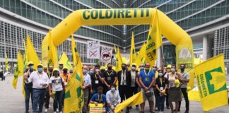 Elezioni, l’Europa che vogliono gli agricoltori: Coldiretti si confronta con quattro candidati