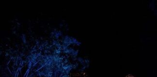 “Tango Absinthe”, il tango della diaspora di Paola Fernandez Dell’Erba e Hernàn Fassa venerdì 30 a Paderno Dugnano.