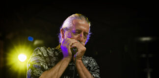 Fabio Treves Blues Band sabato 28 a Parco Tittoni a Desio.