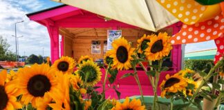 Chiude con successo il campo di Girasoli Garden Steflor.