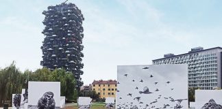 Le foto di uccelli di Stephen Gill alla Biblioteca degli Alberi fino a domenica 26.