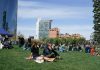 Verde e il Blu Festival, dal 10 al 12 alla Biblioteca degli Alberi.