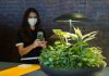 Luce, natura e benessere, Garden: la lampada da tavolo con mini giardino, disegnata da Maurício D’Ávila per Geo Luz & Cerâmica, è presentata alla Milano Design Week.