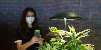 Luce, natura e benessere, Garden: la lampada da tavolo con mini giardino, disegnata da Maurício D’Ávila per Geo Luz & Cerâmica, è presentata alla Milano Design Week.