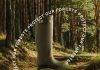 Protect Our Forests Collection, la novità di Hunter.