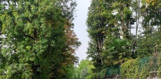 Carate Brianza: BrianzAcque smantella e ricostruisce quasi 3 km di acquedotto Interessate 6 vie, ad Agliate e al rione del Campone. Per accelerare i tempi, i due cantieri procederanno in parallelo.
