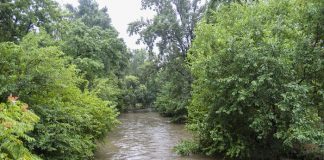 Maltempo, rischio esondazioni Seveso e Lambro.
