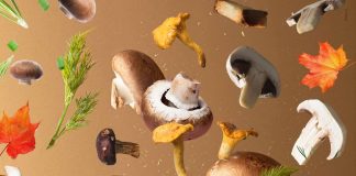 Dal bosco alla tavola, mostra-mercato di funghi sabato 16 e domenica 17 a Piazza Portello.