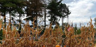 La trebbiatura e l’isola di cioccolato: al Villaggio delle Zucche si celebra la vita di campagna sabato 9 e domenica 10.