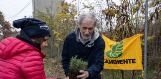 Festa dell’Albero, con Legambiente piantati piantati 2500 tra alberi e arbusti in Lombardia.