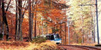 L’autunno continua a splendere in Valle Vigezzo.