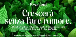 Forestami, al via la piantagione di oltre 90.000 nuovi alberi.