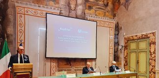 Presentato il 4° Rapporto Auditel-Censis. L’Italia multiscreen, dalla smart tv allo schermo in tasca.