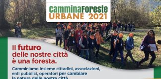 Dal 13 al 28 novembre torna Cammina Foreste Urbane di Legambiente in collaborazione con Ersaf.