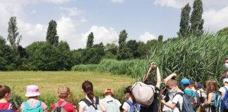 Scuola Forestami, nuove attività per le scuole elementari e medie.
