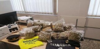 GdF scopre trolley con 8 chili di marijuana in un bus alla dogana con la Svizzera.