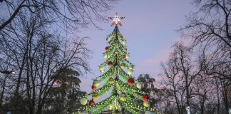 Si accende l’Albero Magico al Villaggio delle Meraviglie sabato 27.