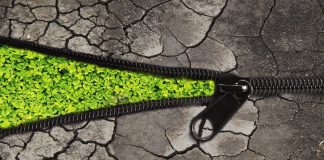 Nasce il lab sulla rigenerazione urbana sostenibile, SUR Lab Bocconi.