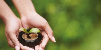 Caffè Borbone lancia la capsula compostabile Don Carlo compatibile con le macchine con macchine a marchio Lavazza®* A Modo Mio®* e amica della natura.