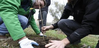 1000 nuovi alberi piantati nell’area metropolitana di Milano, progetto Selva Urbana, Woolrich e Mission Bambini.
