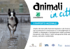Rapporto Animali in citta’: analisi di Legambiente delle performance di Comuni e ATS sul benessere animale.