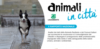 Rapporto Animali in citta’: analisi di Legambiente delle performance di Comuni e ATS sul benessere animale.