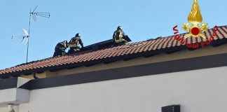 Vento, oltre 100 interventi dei Vigili del Fuoco. Coldiretti: in campagna serre e cascine scoperchiate.