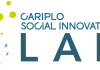 Capacity building: rafforzare le competenze e la dimensione organizzativa del non profit, giovedì 3 marzo a cura di Fondazione Cariplo.
