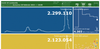 Coronavirus, aggiornamento 20 febbraio, 29 decessi e 4.303 nuovi casi nelle ultime 24 ore.