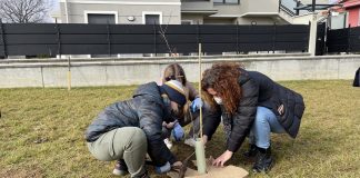 Dresano aderisce al progetto Forestami e coinvolge anche i giovani: piantati 1.888 nuovi alberi.