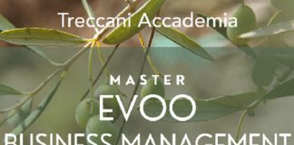 Borsa di Studio Qualivita per formare nuovi manager del settore olivicolo DOP IGP.