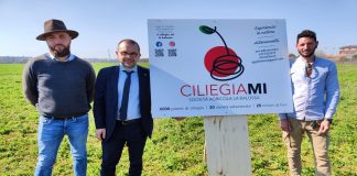 CiliegiaMi, piantate 6.000 piante di ciliegio al Parco Nord.
