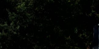 La guerra vista da una studentessa del liceo.