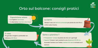 L’Orto del futuro Knorr arriva in città.
